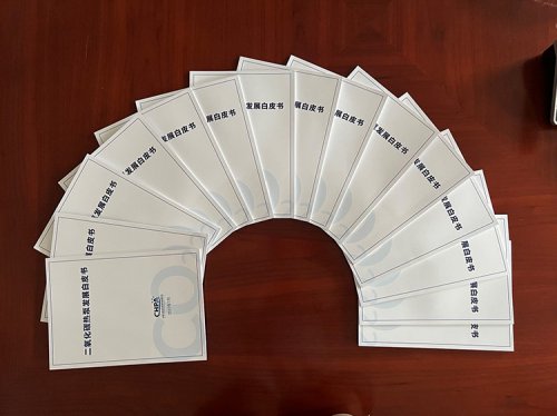 重磅！《二氧化碳熱泵發(fā)展白皮書》正式印發(fā)